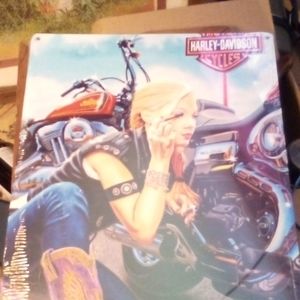 A solid metal picture 11"x 16" of  a Harley Davidson Girl * still in plasticwrap